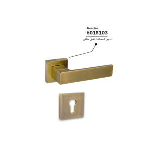 طقم ماسكة باب مع كيلون مع سلندر لون ذهبي مطفي 6018103